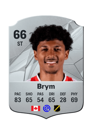 Charles-Andreas Brym