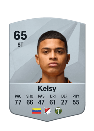 Kevin Kelsy