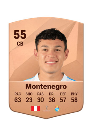 D'Alessandro Montenegro