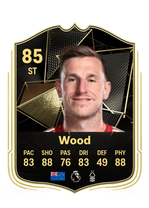 Chris Wood