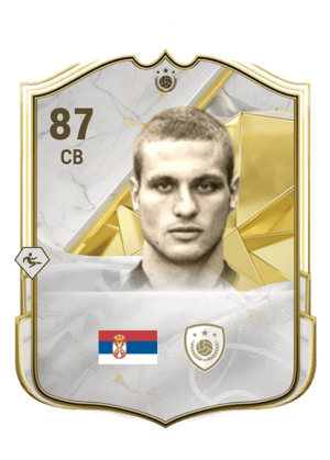 Nemanja Vidić