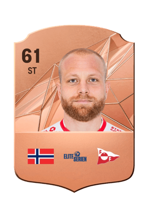 Henrik Kjelsrud Johansen