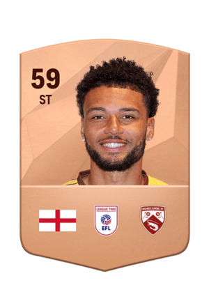 Lee Angol