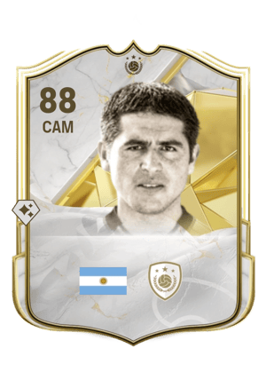 Juan Román Riquelme