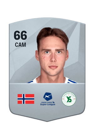 Magnus Retsius Grødem