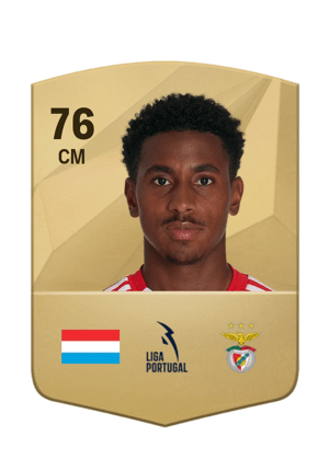 Leandro Barreiro Martins