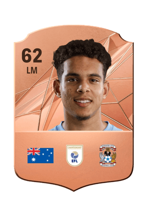 Raphael Borges Rodrigues