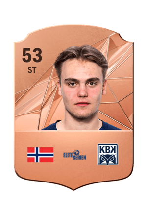 Leander Næss Alvheim