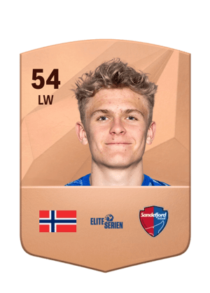 Sebastian Holm Mathisen