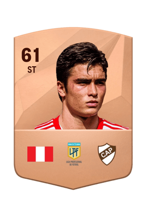 Juan Pablo Goicochea