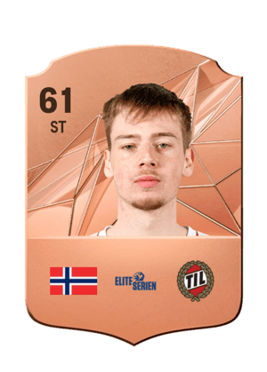 Jakob Napoleon Romsaas