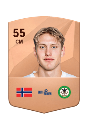 Arne Hopland Ødegård