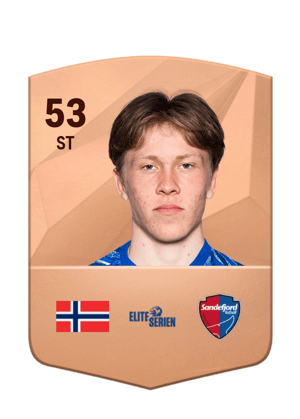 Storm Bugge Pettersen