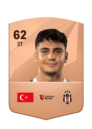 Mustafa Erhan Hekimoğlu