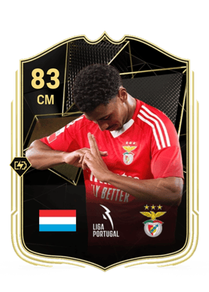 Leandro Barreiro Martins