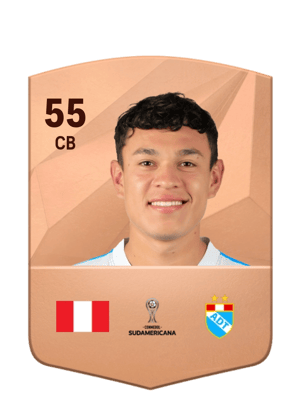 D'Alessandro Montenegro