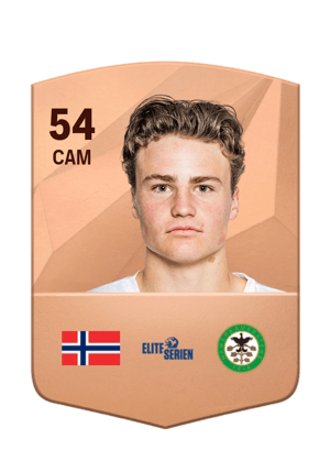 William Osnes-Ringen