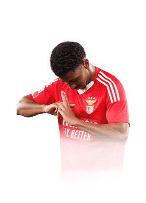 Leandro Barreiro Martins