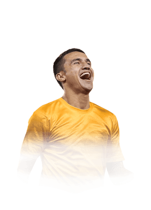 Tim Cahill