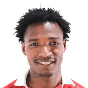 Vicente Emanuel Torres