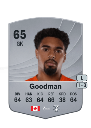 Goodman - 65 - Common