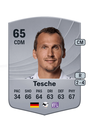 Tesche - 65 - Common