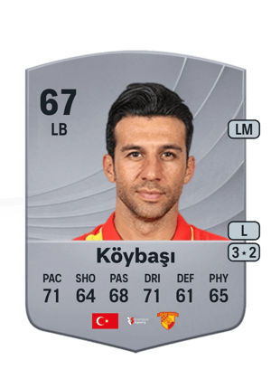 Köybaşı - 67 - Common