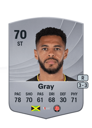 Gray - 70 - Common