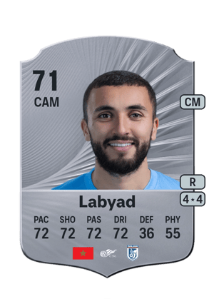 Labyad - 71 - Rare