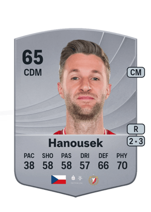 Hanousek - 65 - Common