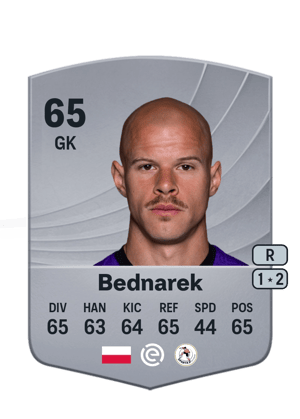 Bednarek - 65 - Common