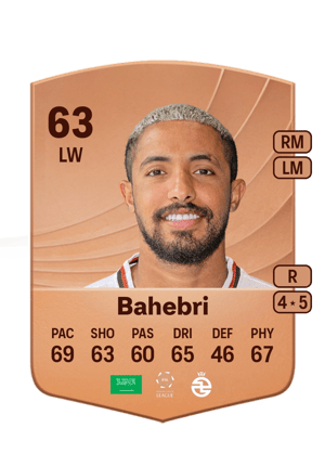 Bahebri - 63 - Common