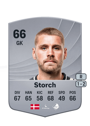 Storch - 66 - Common