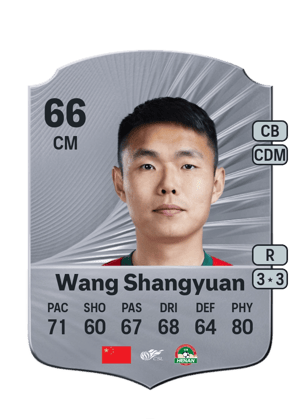 Wang Shangyuan - 66 - Rare