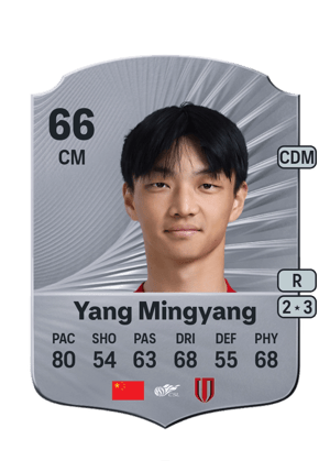 Yang Mingyang - 66 - Rare