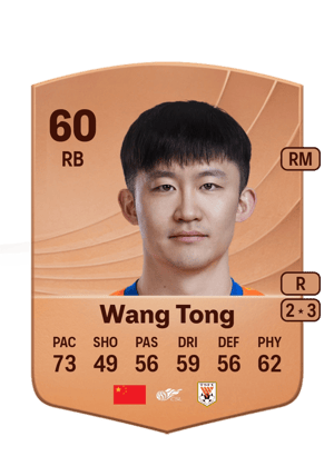 Wang Tong - 60 - Common