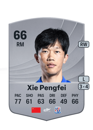 Xie Pengfei - 66 - Common