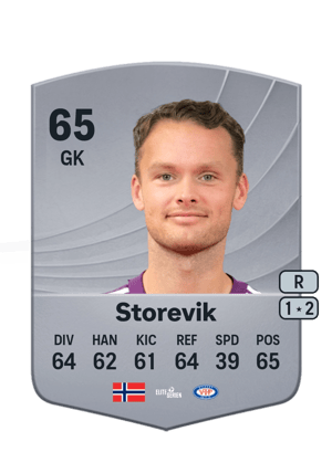 Storevik - 65 - Common