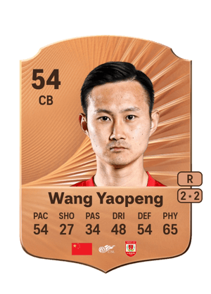 Wang Yaopeng - 54 - Rare