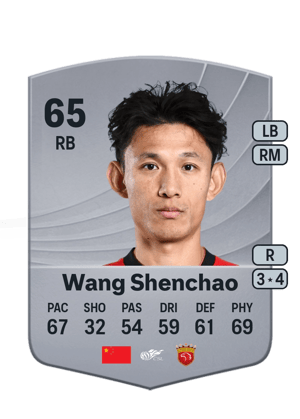 Wang Shenchao - 65 - Common