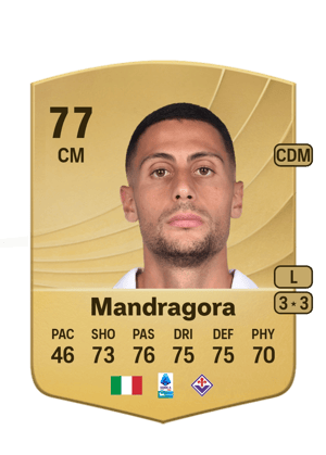 Mandragora - 77 - Common