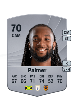Palmer - 70 - Common