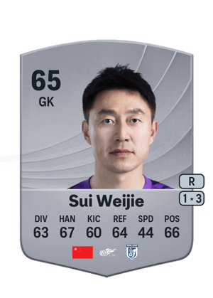 Sui Weijie - 65 - Common