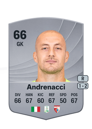 Andrenacci - 66 - Common