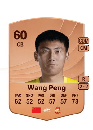 Wang Peng - 60 - Common
