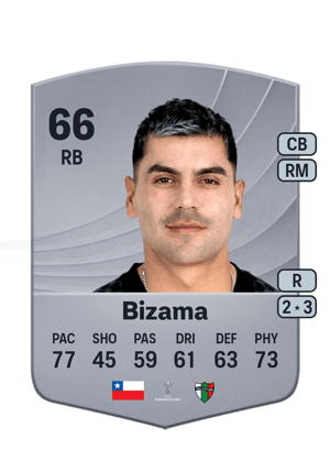 Bizama - 66 - Common