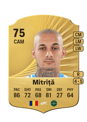 Mitriță - 75 - Rare