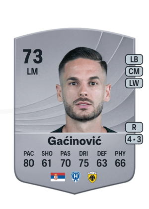 Gaćinović - 73 - Common