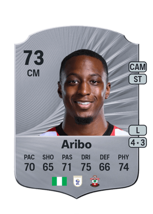 Aribo - 73 - Rare