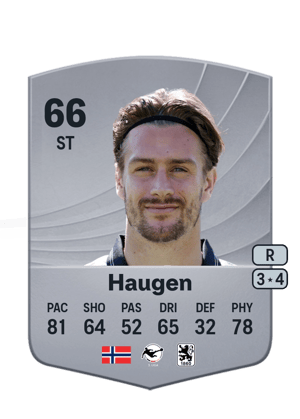 Haugen - 66 - Common